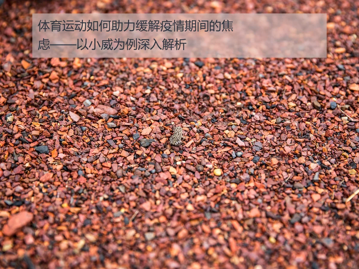 体育运动如何助力缓解疫情期间的焦虑——以小威为例深入解析